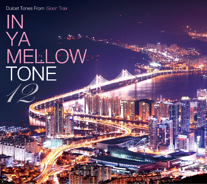 7/29〜31 IN YA MELLOW TONE 12″発売記念！ 「IN YA MELLOW TONE TOUR with re:plus & Ai Ninomiya & Part Time Cooks」開催決定！！